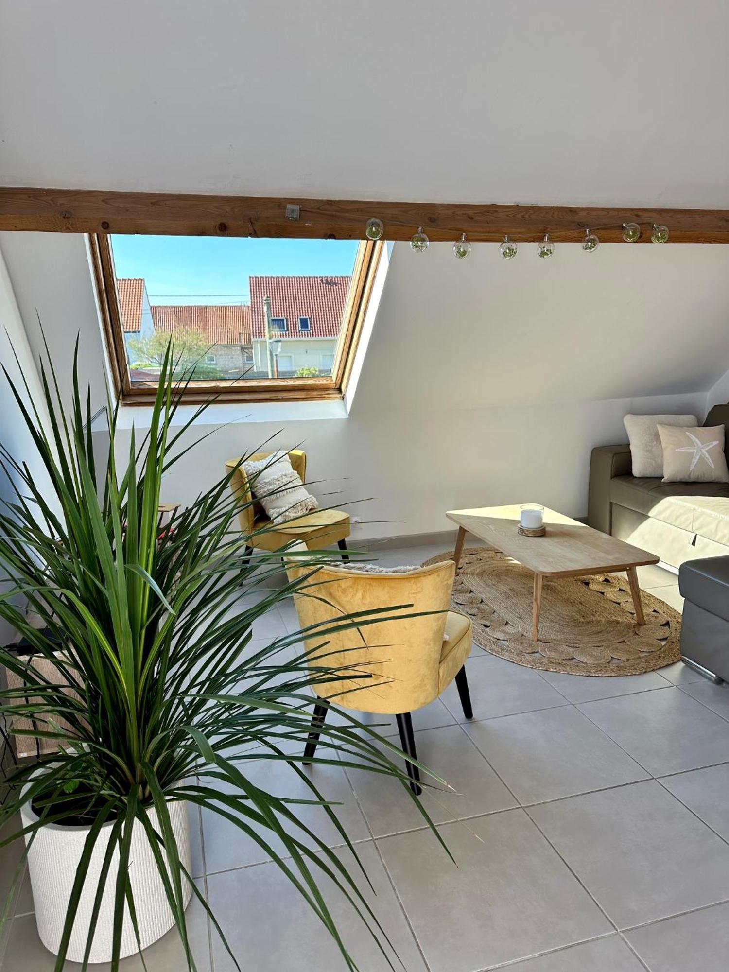 Villa Anemone Audresselles Esterno foto
